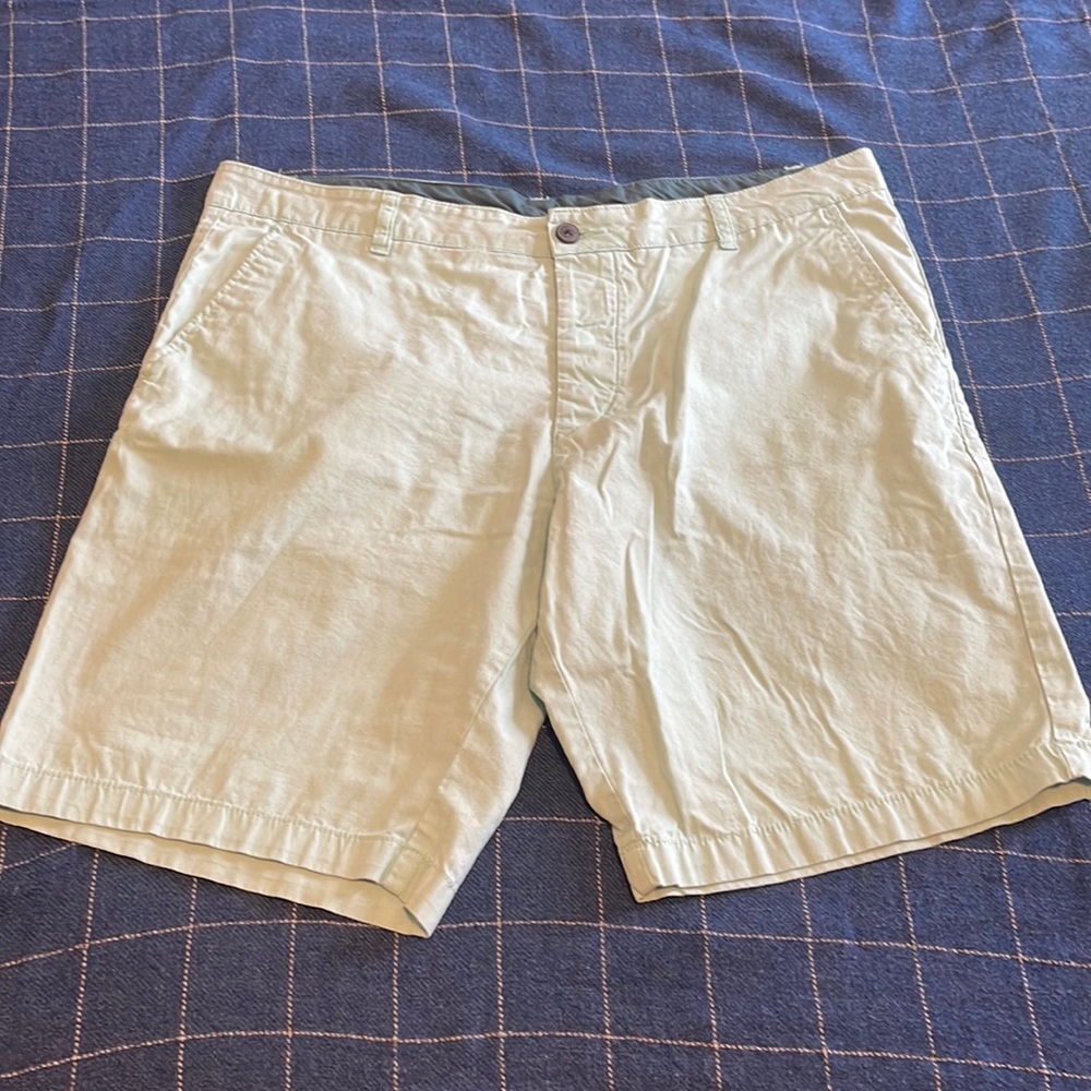 Mint Green Divided flat front shorts. Size 36.